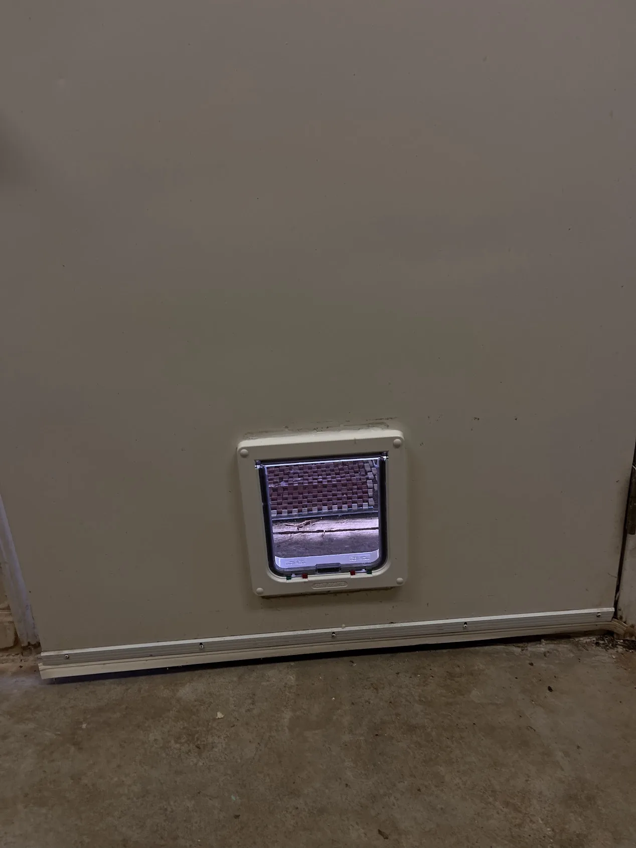 Pet door installation garage wall Cedar Park TX